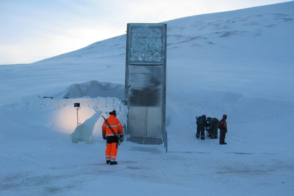 artikus svalbard ameaçado